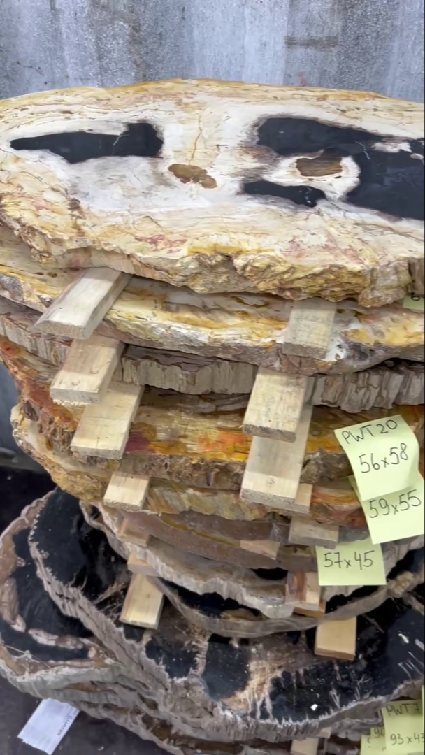 Столешницы для журнальных столов из окаменелого дерева 5