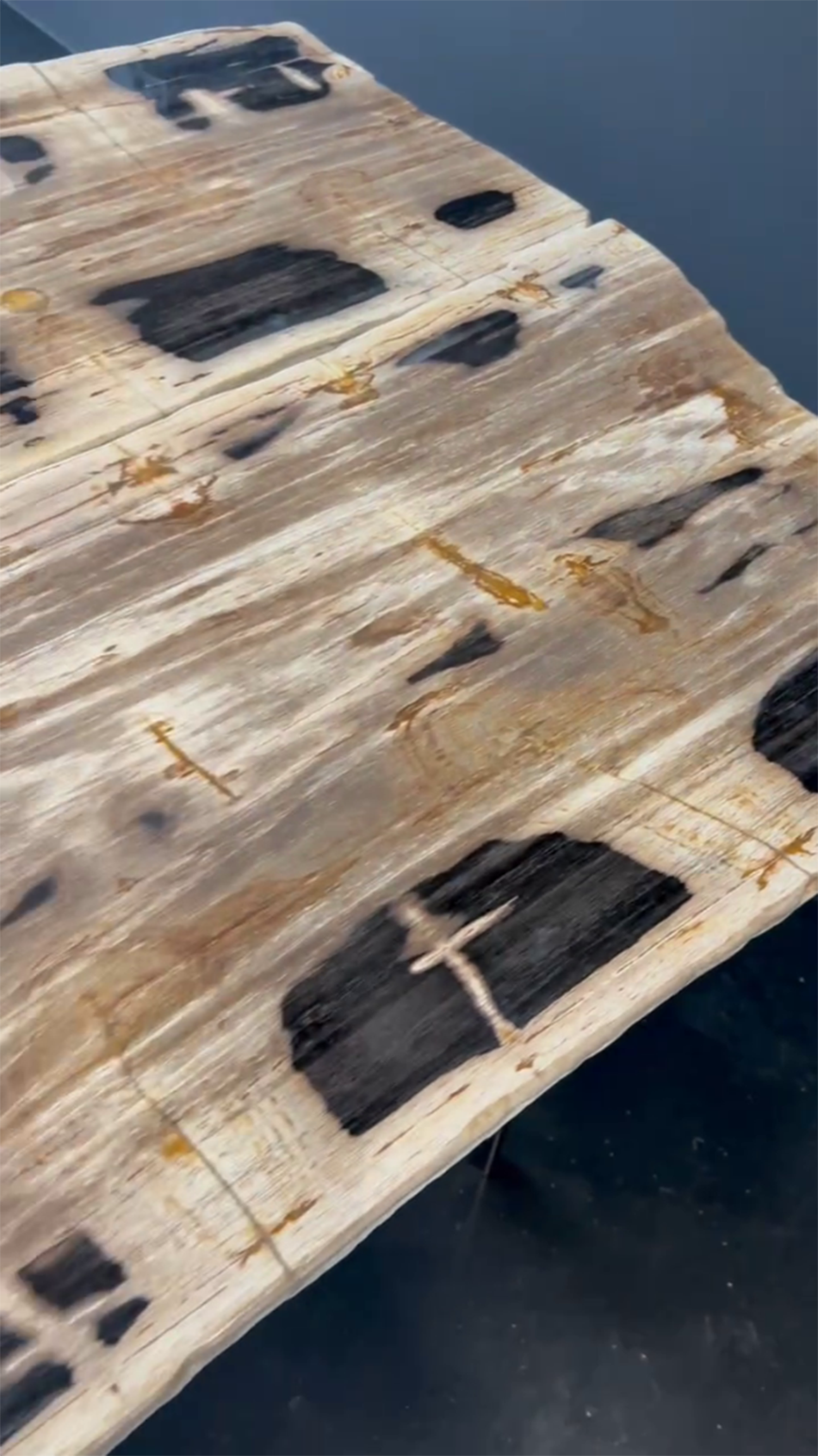 Стол из окаменелого дерева 5