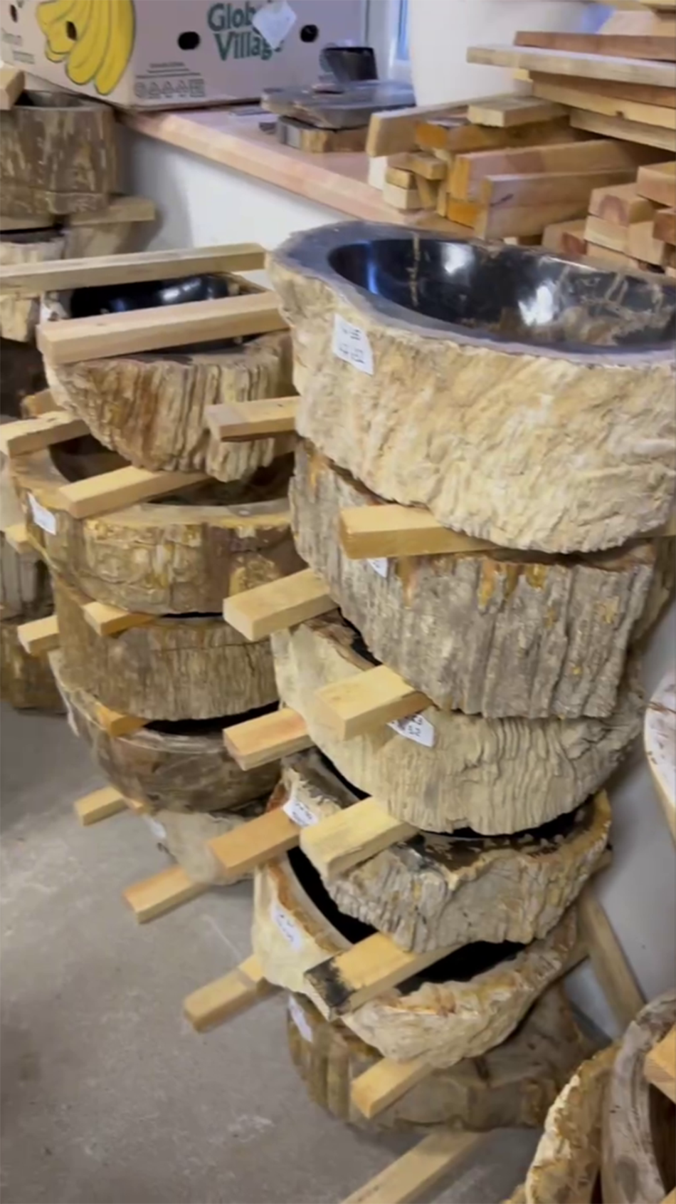 Раковины из окаменелого дерева 3