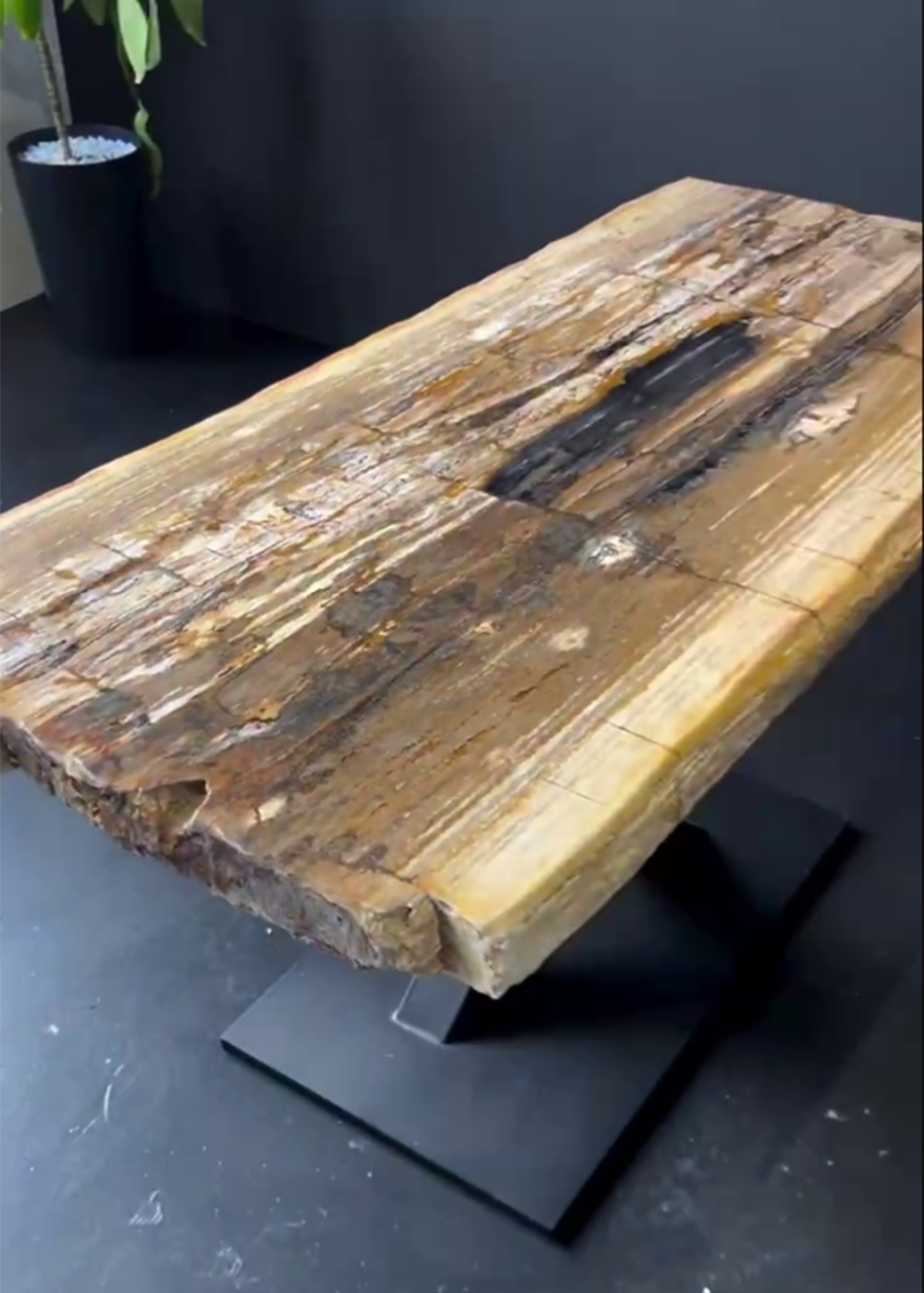 Стол из окаменелого дерева 3