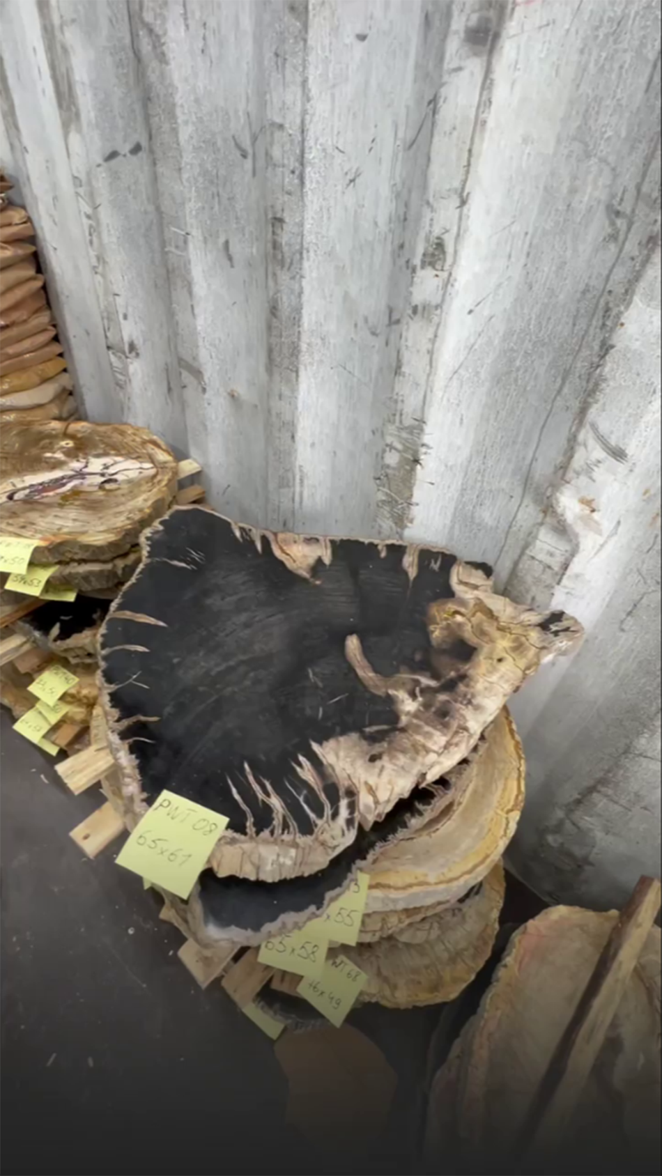 Столешницы для журнальных столов из окаменелого дерева 6