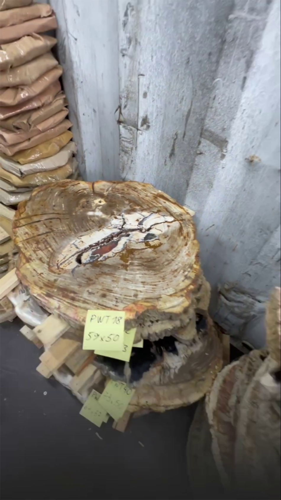 Столешницы для журнальных столов из окаменелого дерева 4