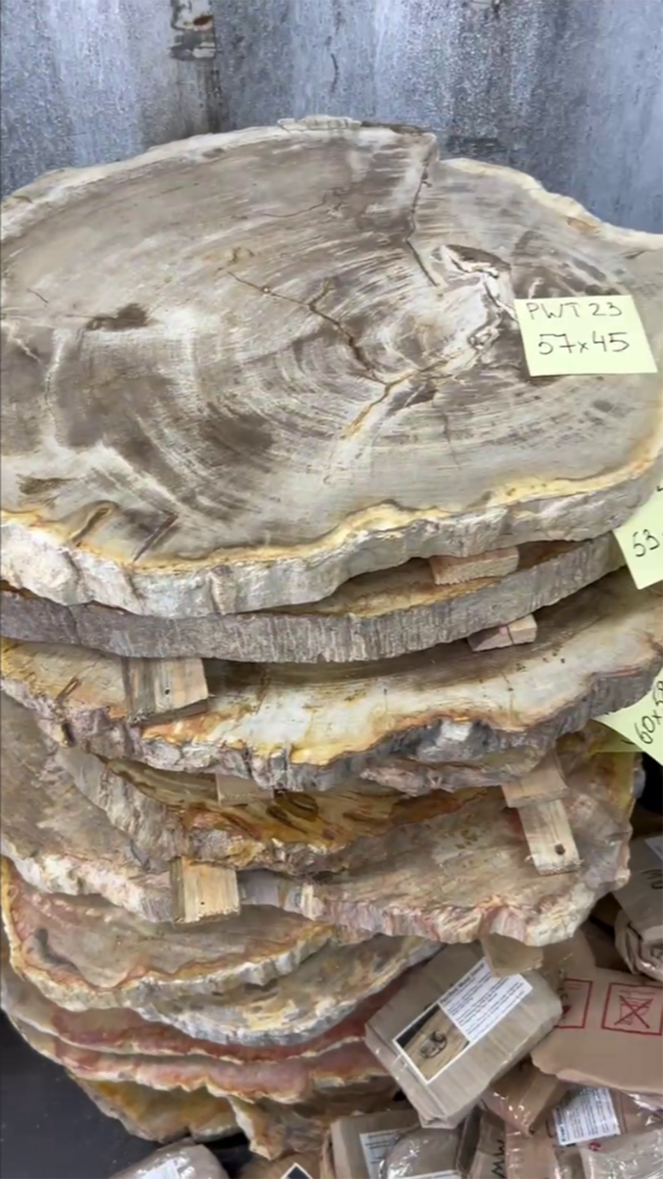 Столешницы для журнальных столов из окаменелого дерева 3