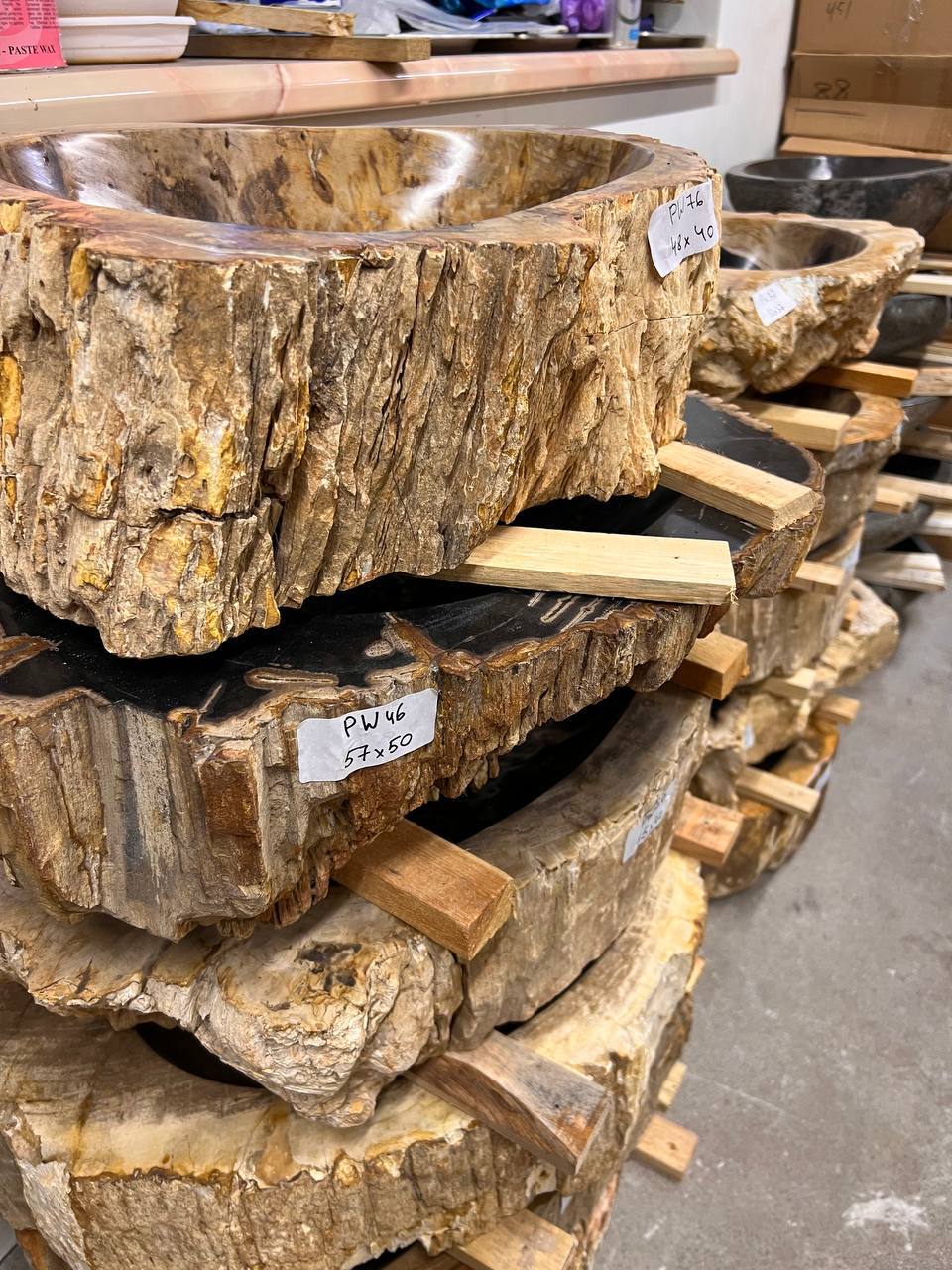 Раковины и аксессуары из окаменелого дерева