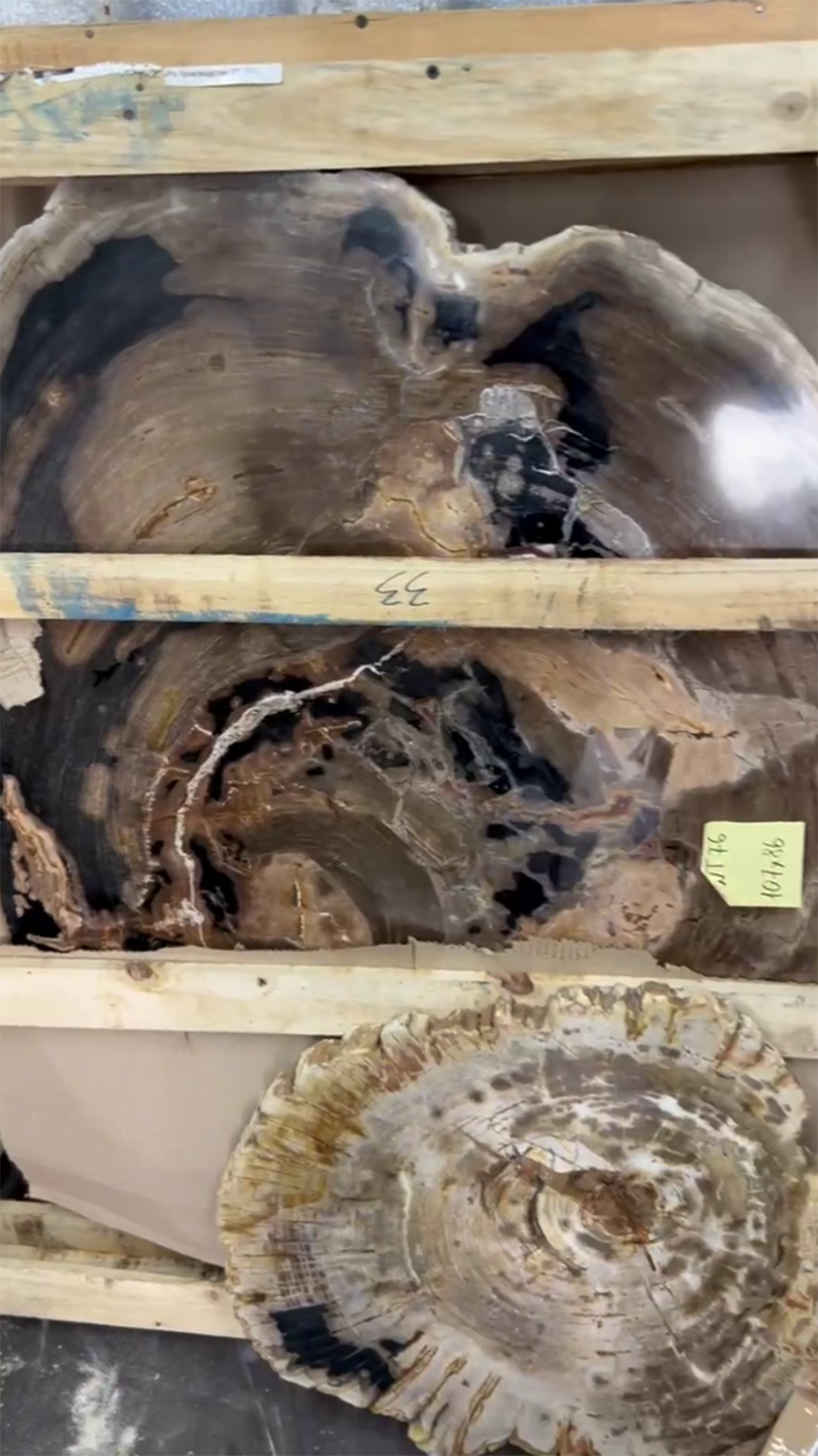 Столешницы для журнальных столов из окаменелого дерева