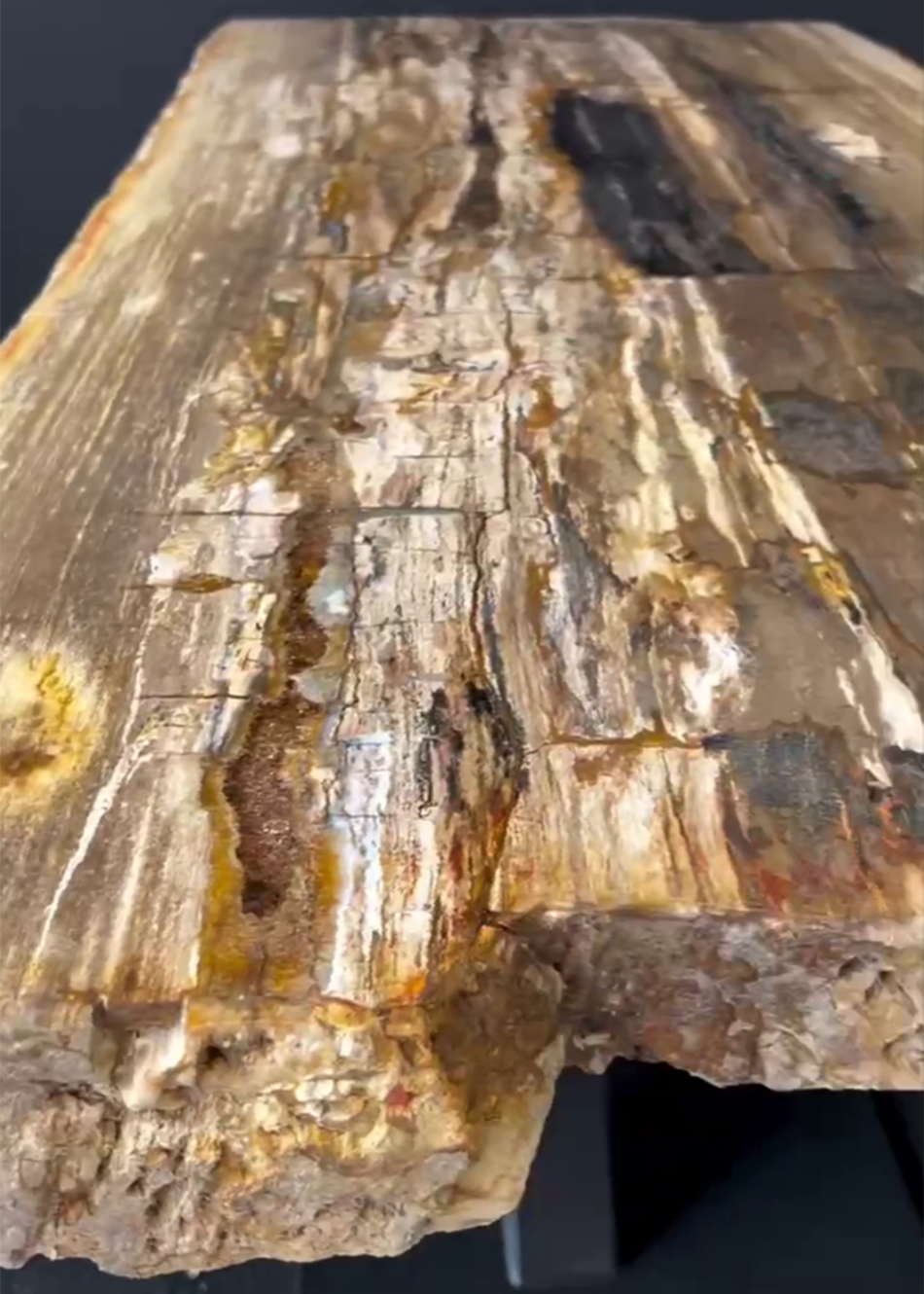 Стол из окаменелого дерева