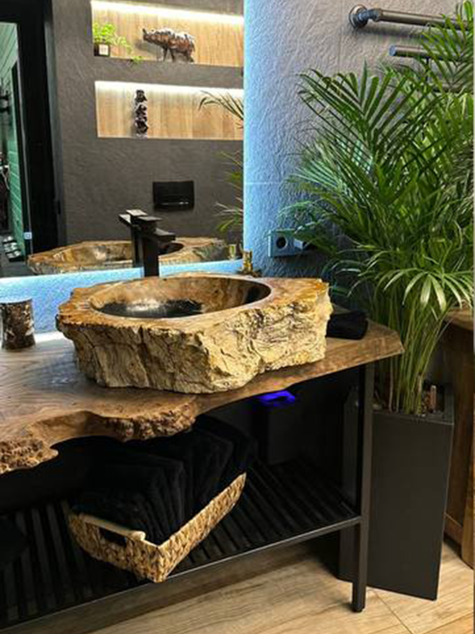 Раковина и набор для ванной комнаты из окаменелого дерева 2