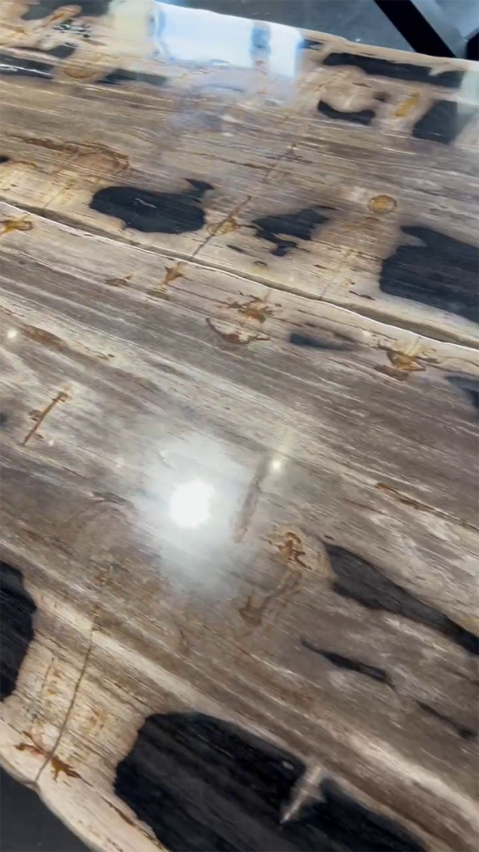 Стол из окаменелого дерева 4