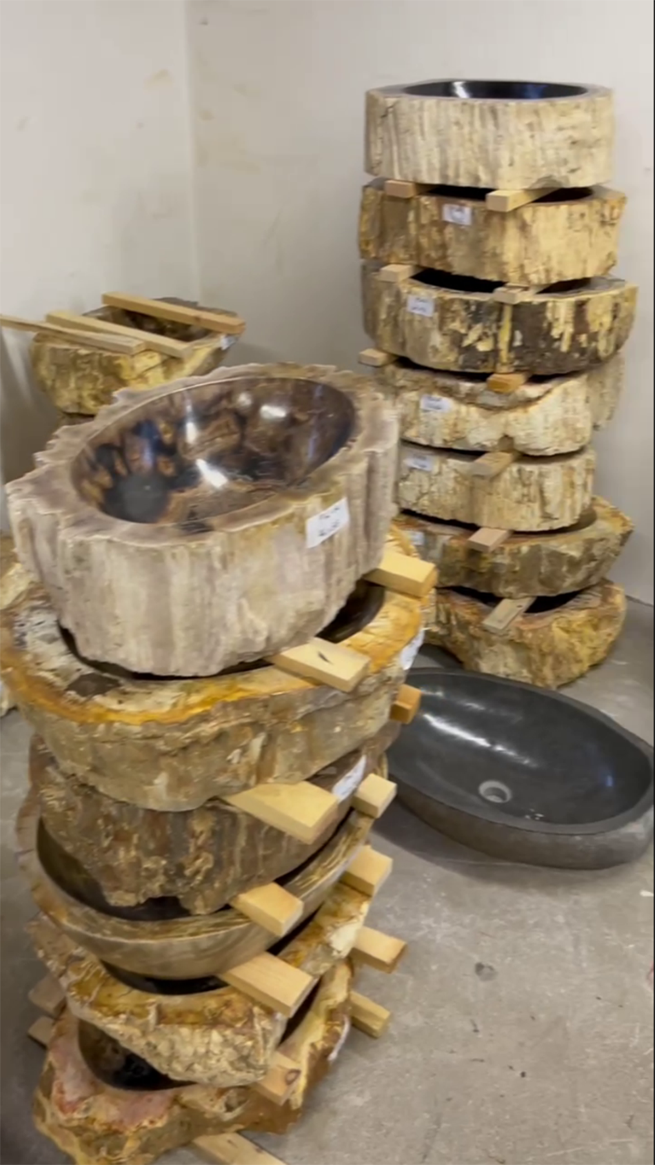 Раковины из окаменелого дерева 4